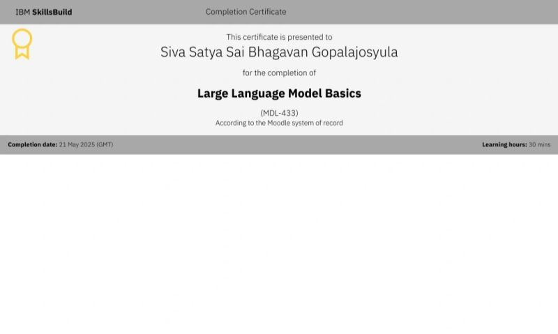 IBM Large Language Models